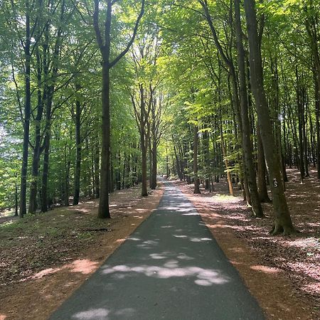 Scheppes Auszeit Appartement Wenden  Buitenkant foto